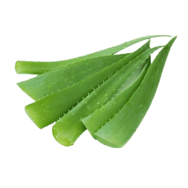 Aloe